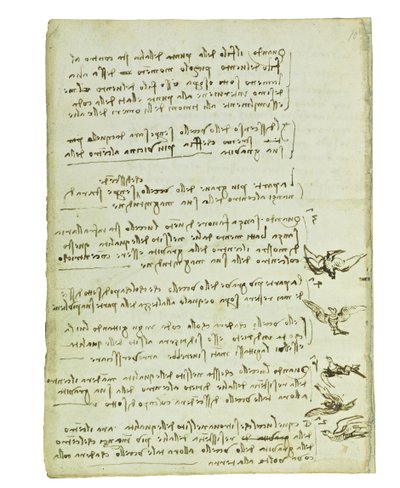 Codex on the Flight of Birds, Folio 7 Verso by Leonardo da Vinci